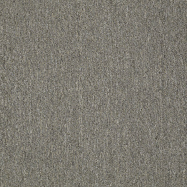 Neyland Iii 26 15' Residential Carpet by Philadelphia Commercial in the color Georgia Mist. Sample of grays carpet pattern and texture.
