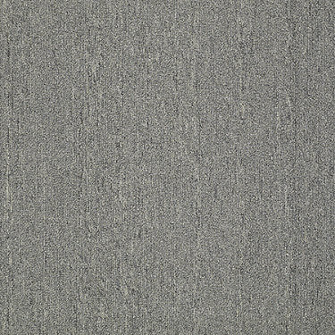 Neyland Iii 26 15' Residential Carpet by Philadelphia Commercial in the color Mercury. Sample of grays carpet pattern and texture.