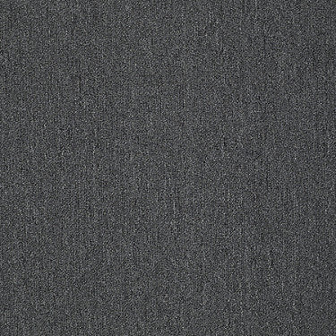 Neyland Iii 26 15' Residential Carpet by Philadelphia Commercial in the color Medallion. Sample of grays carpet pattern and texture.