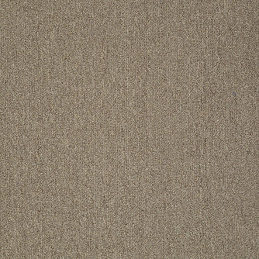 Neyland Iii 26 15' Residential Carpet by Philadelphia Commercial in the color Ashen Tan. Sample of browns carpet pattern and texture.