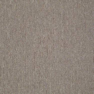 Neyland Iii 26 15' Residential Carpet by Philadelphia Commercial in the color Gingersnap. Sample of browns carpet pattern and texture.