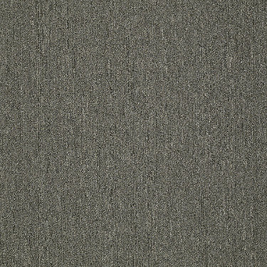 Neyland Iii 26 15' Residential Carpet by Philadelphia Commercial in the color Sugared Bronze. Sample of browns carpet pattern and texture.