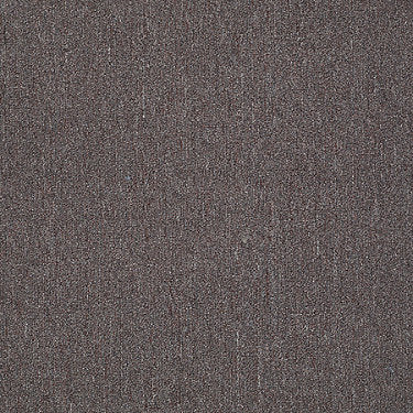 Neyland Iii 26 15' Residential Carpet by Philadelphia Commercial in the color Cedar Chest. Sample of browns carpet pattern and texture.