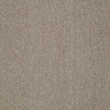 Neyland Iii 26 15' Residential Carpet by Philadelphia Commercial in the color Ritz Bitz. Sample of browns carpet pattern and texture.