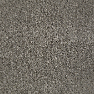 Neyland Iii 26 15' Residential Carpet by Philadelphia Commercial in the color Brushwood. Sample of browns carpet pattern and texture.
