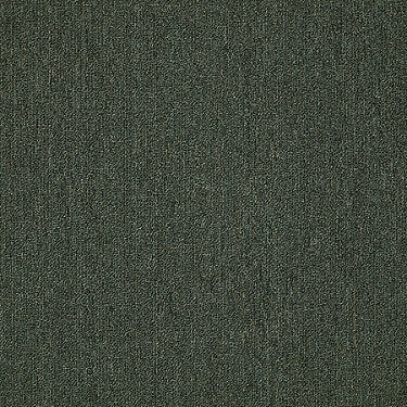 Neyland Iii 20 15' Residential Carpet by Philadelphia Commercial in the color Heritage Teal. Sample of greens carpet pattern and texture.