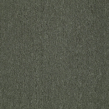 Neyland Iii 20 15' Residential Carpet by Philadelphia Commercial in the color Shady Grove. Sample of greens carpet pattern and texture.