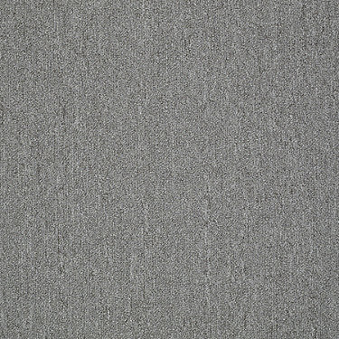 Neyland Iii 20 15' Residential Carpet by Philadelphia Commercial in the color London Fog. Sample of grays carpet pattern and texture.