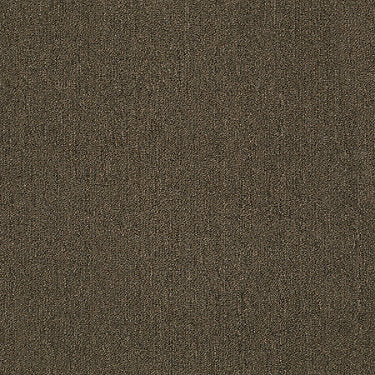 Neyland Iii 20 15' Residential Carpet by Philadelphia Commercial in the color Urban Legend. Sample of browns carpet pattern and texture.