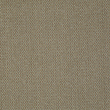 Sign Out Commercial Carpet by Philadelphia Commercial in the color Ticket. Sample of golds carpet pattern and texture.