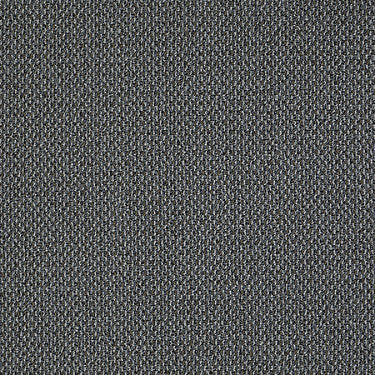 Sign Out Commercial Carpet by Philadelphia Commercial in the color Lease. Sample of grays carpet pattern and texture.