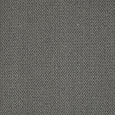 Sign Out Commercial Carpet by Philadelphia Commercial in the color Document. Sample of grays carpet pattern and texture.