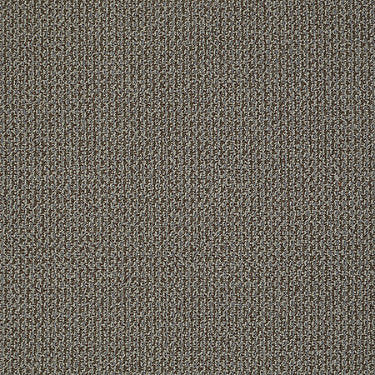 Sign Out Commercial Carpet by Philadelphia Commercial in the color Membership. Sample of browns carpet pattern and texture.