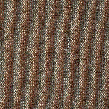 Sign Out Commercial Carpet by Philadelphia Commercial in the color Agreement. Sample of browns carpet pattern and texture.