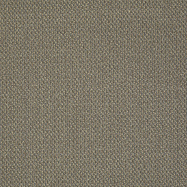 Sign Out Commercial Carpet by Philadelphia Commercial in the color Account. Sample of browns carpet pattern and texture.