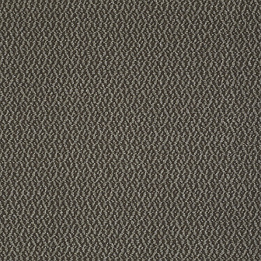 Bird'S Eye Commercial Carpet by Philadelphia Commercial in the color Cottontail. Sample of beiges carpet pattern and texture.