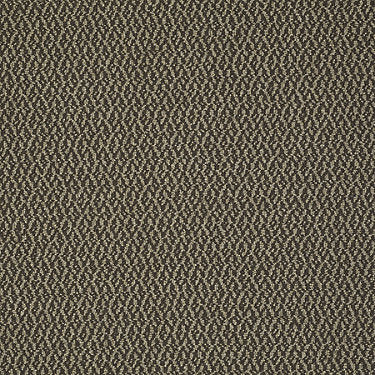 Bird'S Eye Commercial Carpet by Philadelphia Commercial in the color Honey Bird. Sample of golds carpet pattern and texture.