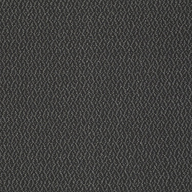 Bird'S Eye Commercial Carpet by Philadelphia Commercial in the color Quicksilver. Sample of grays carpet pattern and texture.
