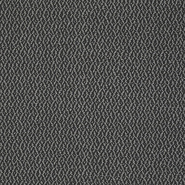 Bird'S Eye Commercial Carpet by Philadelphia Commercial in the color Timber Wolf. Sample of grays carpet pattern and texture.