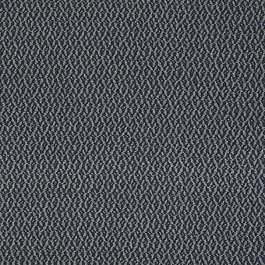 Bird'S Eye Commercial Carpet by Philadelphia Commercial in the color Blue Knight. Sample of grays carpet pattern and texture.