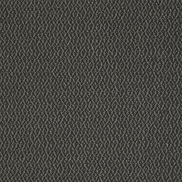 Bird'S Eye Commercial Carpet by Philadelphia Commercial in the color Chickadee. Sample of browns carpet pattern and texture.