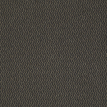 Bird'S Eye Commercial Carpet by Philadelphia Commercial in the color Brown Rabbit. Sample of browns carpet pattern and texture.