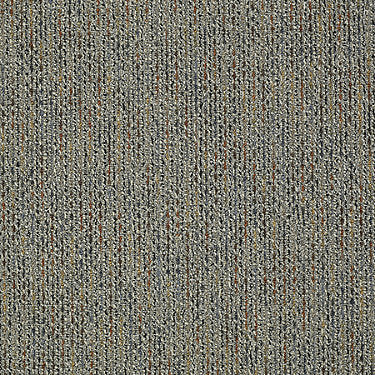 Zest Commercial Carpet by Philadelphia Commercial in the color Lively. Sample of grays carpet pattern and texture.