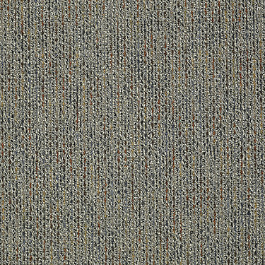 Zest Commercial Carpet by Philadelphia Commercial in the color Lively. Sample of grays carpet pattern and texture.