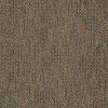 Zest Commercial Carpet by Philadelphia Commercial in the color Spice. Sample of reds carpet pattern and texture.