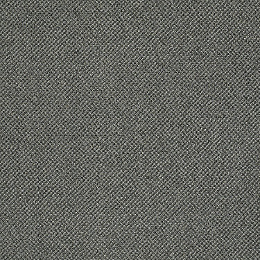Monument Residential Carpet by Philadelphia Commercial in the color Milestone. Sample of grays carpet pattern and texture.