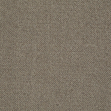 Monument Residential Carpet by Philadelphia Commercial in the color Notable. Sample of browns carpet pattern and texture.
