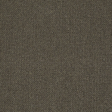 Monument Residential Carpet by Philadelphia Commercial in the color Benchmark. Sample of browns carpet pattern and texture.