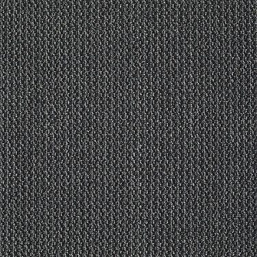 Marvel Residential Carpet by Philadelphia Commercial in the color Stunning. Sample of grays carpet pattern and texture.