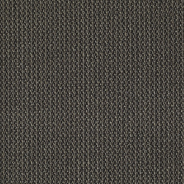 Marvel Residential Carpet by Philadelphia Commercial in the color Wonderment. Sample of browns carpet pattern and texture.