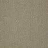 Power Up Residential Carpet by Philadelphia Commercial in the color Charge. Sample of beiges carpet pattern and texture.