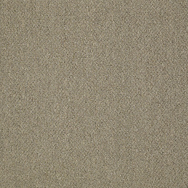 Power Up Residential Carpet by Philadelphia Commercial in the color Charge. Sample of beiges carpet pattern and texture.