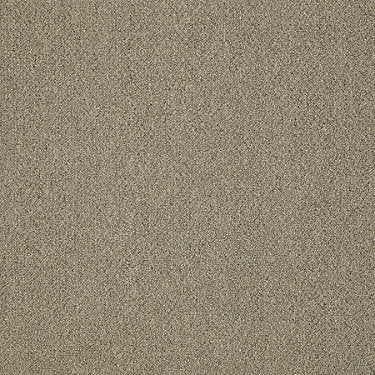 Power Up Residential Carpet by Philadelphia Commercial in the color Charge. Sample of beiges carpet pattern and texture.