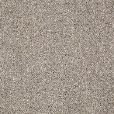 Power Up Residential Carpet by Philadelphia Commercial in the color Kick-Start. Sample of beiges carpet pattern and texture.