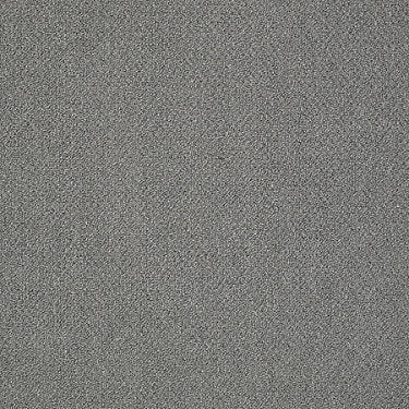 Power Up Residential Carpet by Philadelphia Commercial in the color Wake Up. Sample of grays carpet pattern and texture.