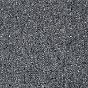 Power Up Residential Carpet by Philadelphia Commercial in the color Gas It. Sample of grays carpet pattern and texture.