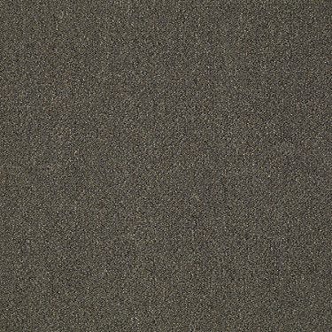 Power Up Residential Carpet by Philadelphia Commercial in the color Plug In. Sample of browns carpet pattern and texture.