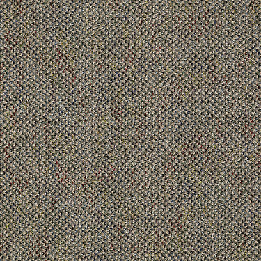 Bejeweled Residential Carpet by Philadelphia Commercial in the color Bling Bling. Sample of beiges carpet pattern and texture.