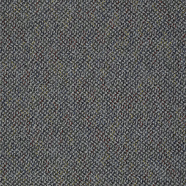 Bejeweled Residential Carpet by Philadelphia Commercial in the color Showy. Sample of grays carpet pattern and texture.