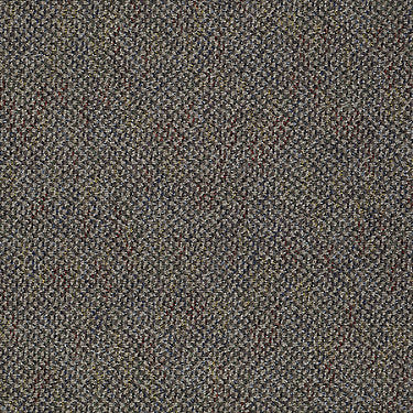 Bejeweled Residential Carpet by Philadelphia Commercial in the color Colorful. Sample of browns carpet pattern and texture.