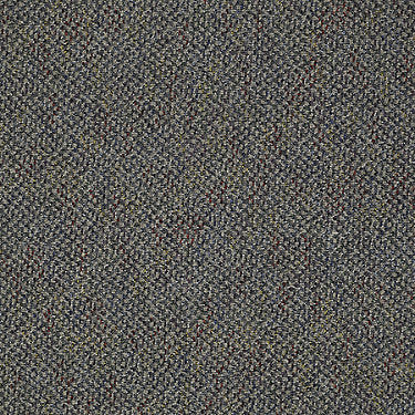 Bejeweled Residential Carpet by Philadelphia Commercial in the color Lively. Sample of browns carpet pattern and texture.