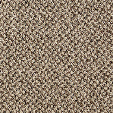 New Basics Commercial Carpet by Philadelphia Commercial in the color Preeminence. Sample of golds carpet pattern and texture.