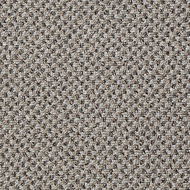 New Basics Commercial Carpet by Philadelphia Commercial in the color Quick. Sample of grays carpet pattern and texture.