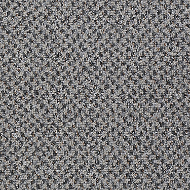 New Basics Commercial Carpet by Philadelphia Commercial in the color Preference. Sample of grays carpet pattern and texture.