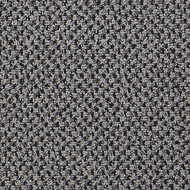 New Basics Commercial Carpet by Philadelphia Commercial in the color Top Spot. Sample of grays carpet pattern and texture.