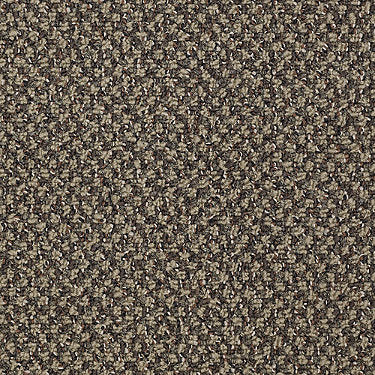 New Basics Commercial Carpet by Philadelphia Commercial in the color Hot Order. Sample of browns carpet pattern and texture.